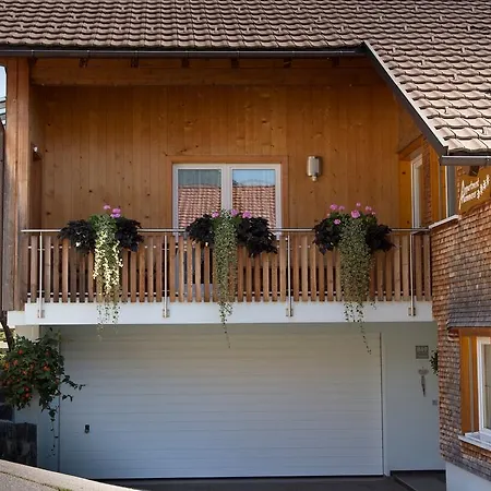 Apartment Hammerer Schwarzenberg im Bregenzerwald